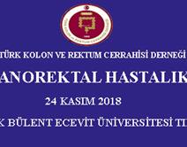 25. Selm Anorektal Hastalıklar Kurs Programı 25. Selm Anorektal Hastalıklar Kurs Programı