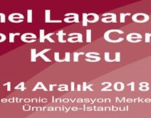 III. Temel Laparoskopik Kolorektal Cerrahi Kursu (Kontenjanımız Dolmuştur ! ) III. Temel Laparoskopik Kolorektal Cerrahi Kursu (Kontenjanımız Dolmuştur ! )