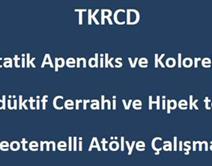 Peritona Metastatik Apendiks ve Kolorektal Kanserlerde Sitoredüktif Cerrahi ve Hipek tedavisi Peritona Metastatik Apendiks ve Kolorektal Kanserlerde Sitoredüktif Cerrahi ve Hipek tedavisi