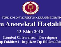 24. Selm Anorektal Hastalıklar Kurs Programı 24. Selm Anorektal Hastalıklar Kurs Programı