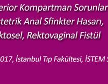 Pelvik Taban Posterior Kompartman Sorunlarına Yaklaşım;Obstetrik Anal Sfinkter Hasarı,Rektosel, Rektovaginal Fistül Pelvik Taban Posterior Kompartman Sorunlarına Yaklaşım;Obstetrik Anal Sfinkter Hasarı,Rektosel, Rektovaginal Fistül