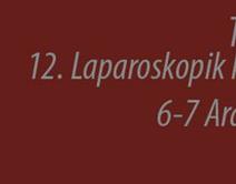 12. Laparoskopik Kolorektal Cerrahi Kursu 12. Laparoskopik Kolorektal Cerrahi Kursu