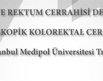 17. LAPAROSKOPİK KOLOREKTAL CERRAHİ KURSU 17. LAPAROSKOPİK KOLOREKTAL CERRAHİ KURSU