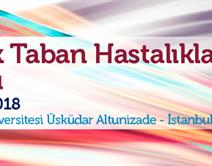 Pelvik Taban Hastalıkları Kursu Pelvik Taban Hastalıkları Kursu