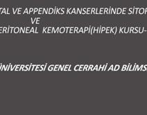PERİTONA METASTATİK KOLOREKTAL VE APPENDİKS KANSERLERİNDE SİTOREDÜKSİYON VE HİPERTERMİK İNTRAPERİTONEAL KEMOTERAPİ(HİPEK) KURSU-III PERİTONA METASTATİK KOLOREKTAL VE APPENDİKS KANSERLERİNDE SİTOREDÜKSİYON VE HİPERTERMİK İNTRAPERİTONEAL KEMOTERAPİ(HİPEK) KURSU-III