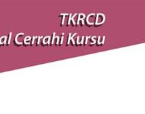 13. Laparoskopik Kolorektal Cerrahi Kursu 13. Laparoskopik Kolorektal Cerrahi Kursu