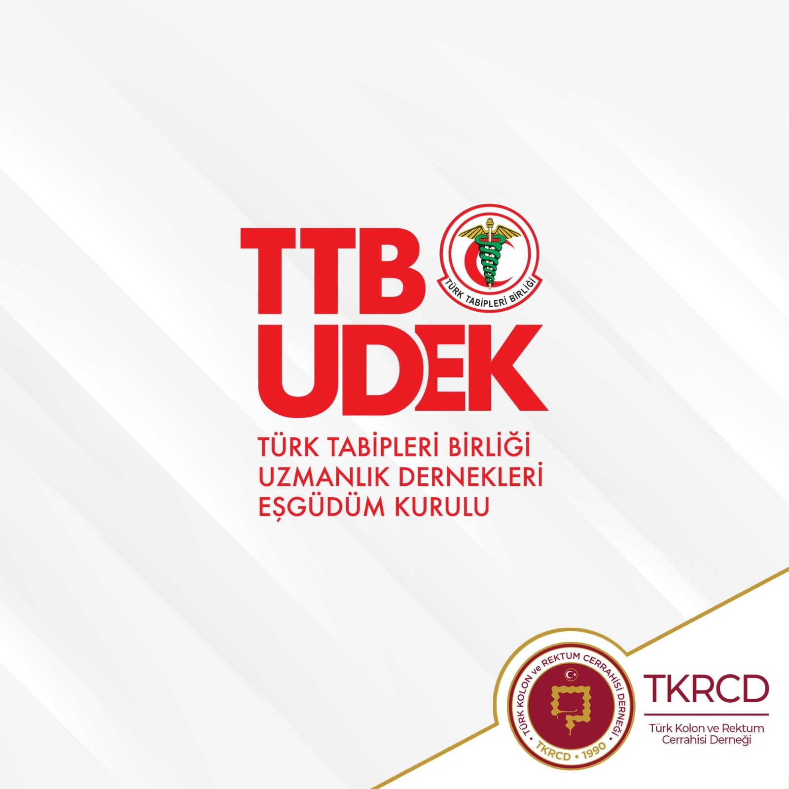 TTB UDEK Asil Üyelik Kabulü